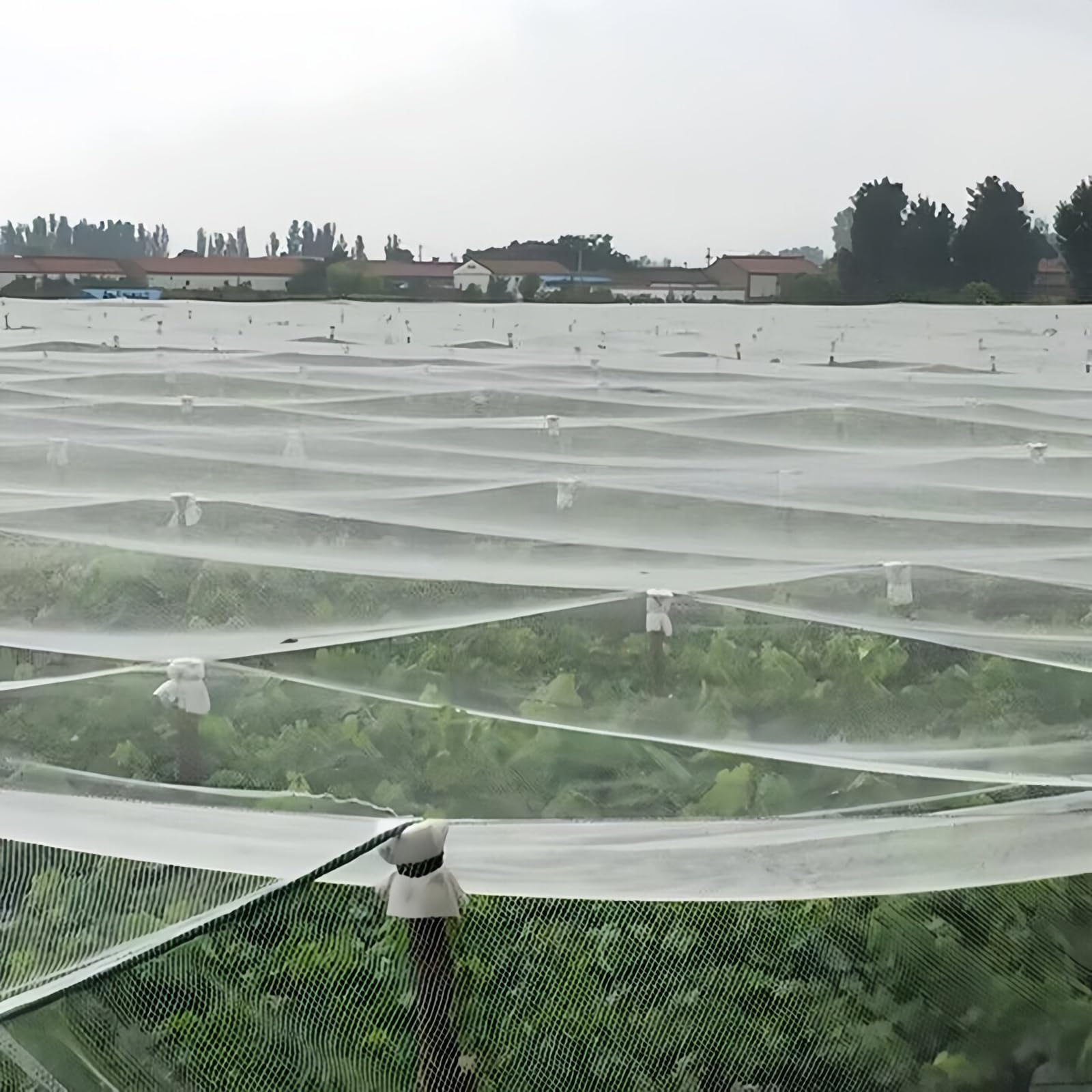 Resistente allo Strappo Raggi UV Telo Antigrandine,Rete Anti Uccelli Protettive da Giardino,Rete Antigrandine per Orto,Protezione UV,per Giardini,Serras Coltivazioni