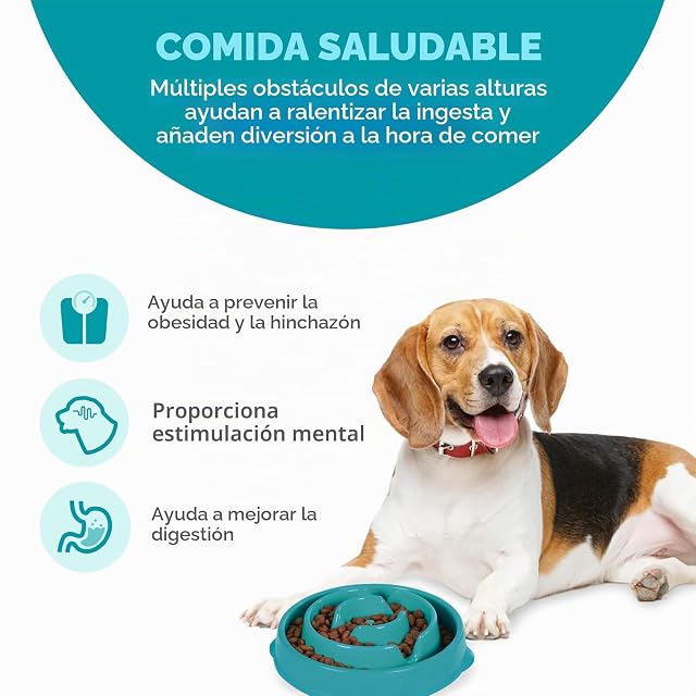 Foto 2 de 7 de Outward Hound Fun Feeder Slo-Bowl - Comedero con obstáculos para perros - Turquesa - Mediano/mini