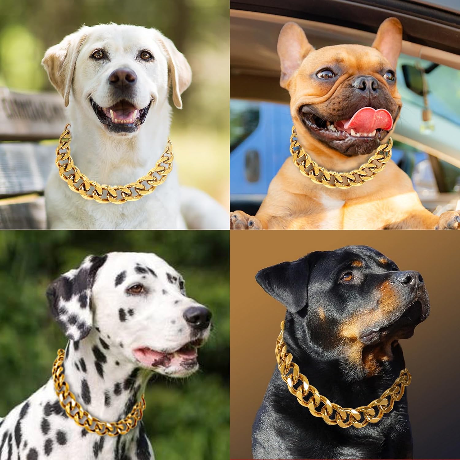 BAOBOTE 23MM Gold Dog Collar,Dog Chain Collars with Cuban Link Dog Collar,Heavy Duty Training Collar Chew Proof for Medium Dogs(16" Gold)