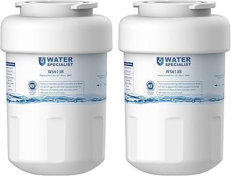 Waterspecialist WS613B Replacement for GE MWF, SmartWater MWFP, MWFA, GWF, HDX FMG-1, WFC1201, GSE25GSHECSS, PC75009, RWF1060 Refrigerator Water Filter, 2 Filters