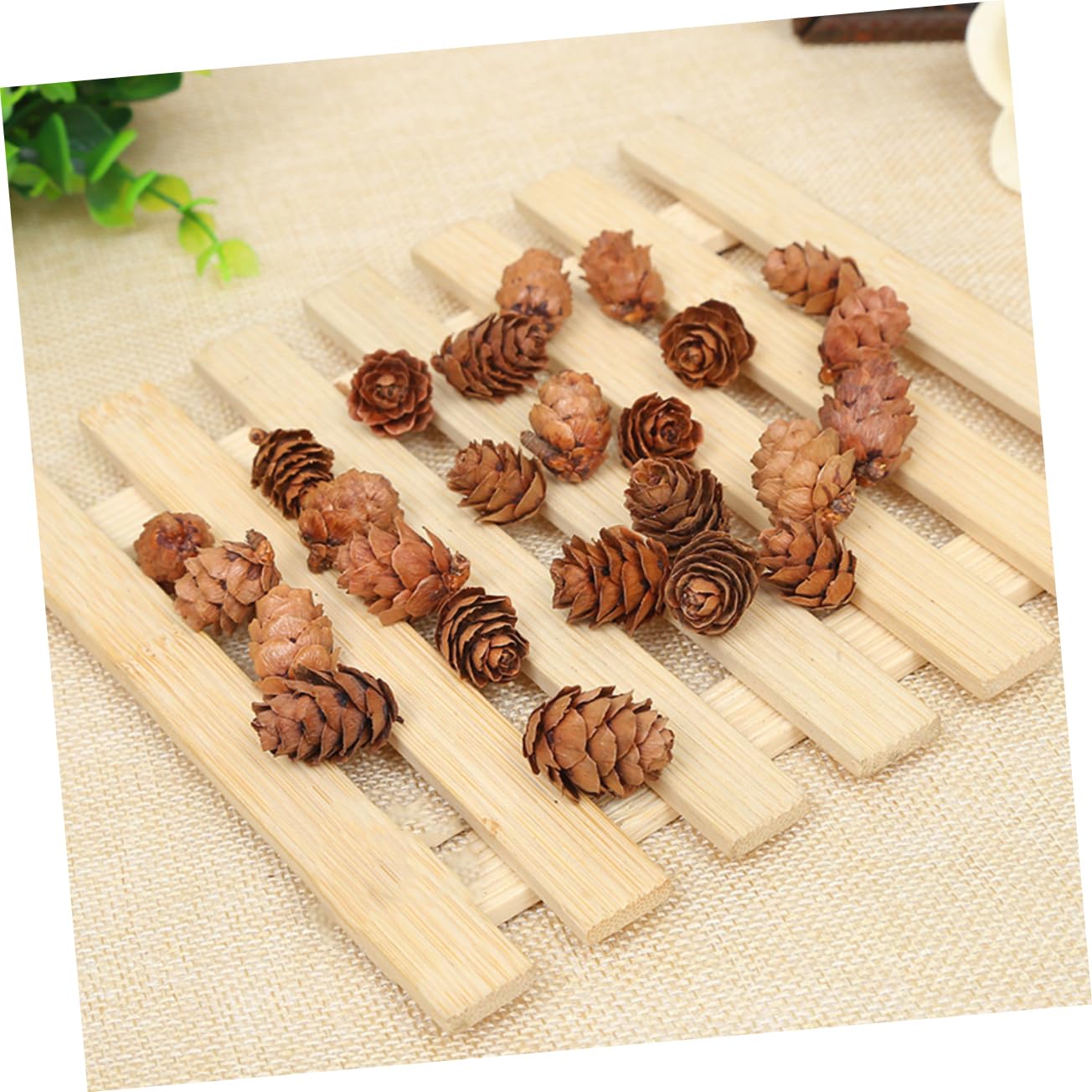 Ciieeo 210 Piezas Piñas Naturales Decoraciones de Piñas Secas Hogar para Acción de Gracias y Navidad Adorno Vegetal