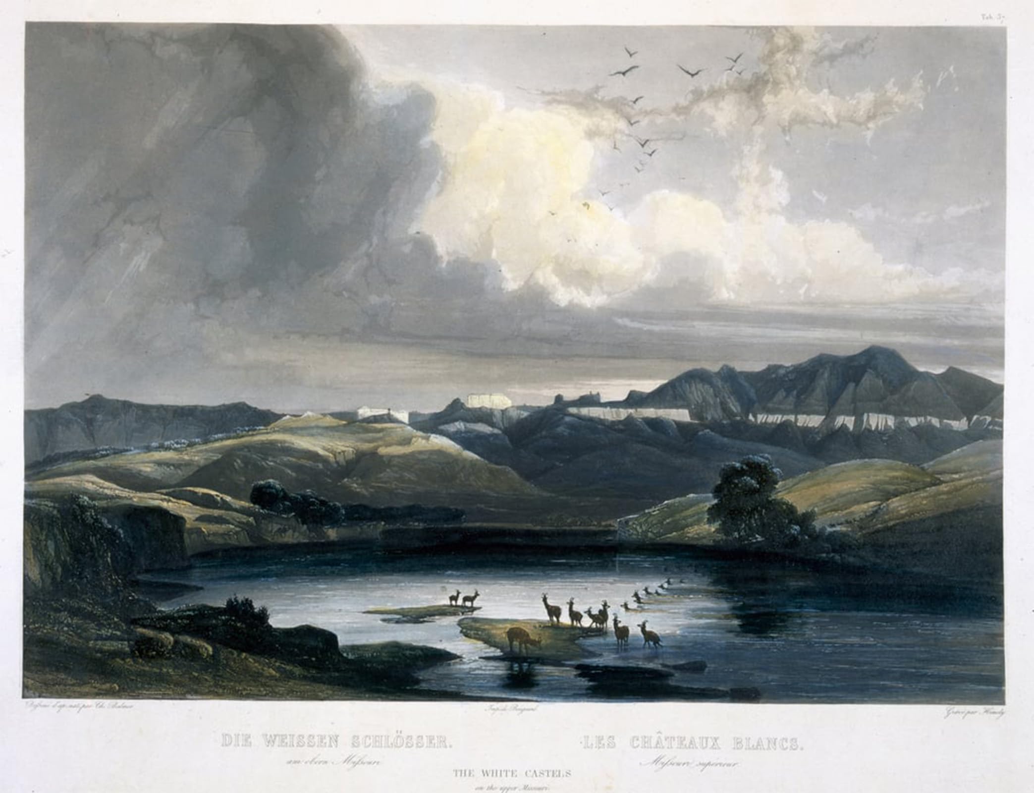 ARTXLXXBN Famous Art Print Poster Vintage Wall Art the White Castels on the Upper Missouri by Karl Bodmer Canvas Art Poster for Home Decor 60x90cm