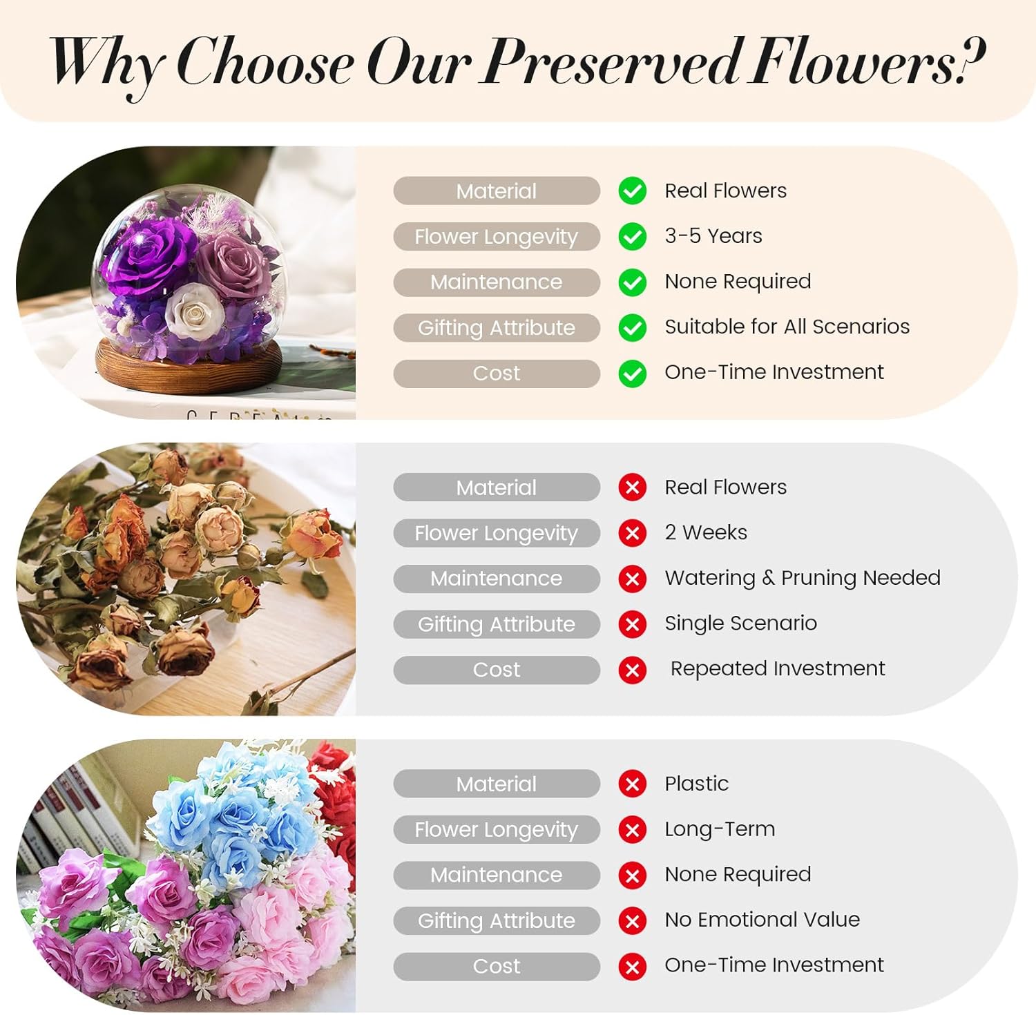 Valentines Day Flowers Gifts for Women,Forever Real Preserved Roses in Glass Dome,Valentines Roses Gifts for Her Wife Girlfriend Women Best Friend/Purple - Image 5