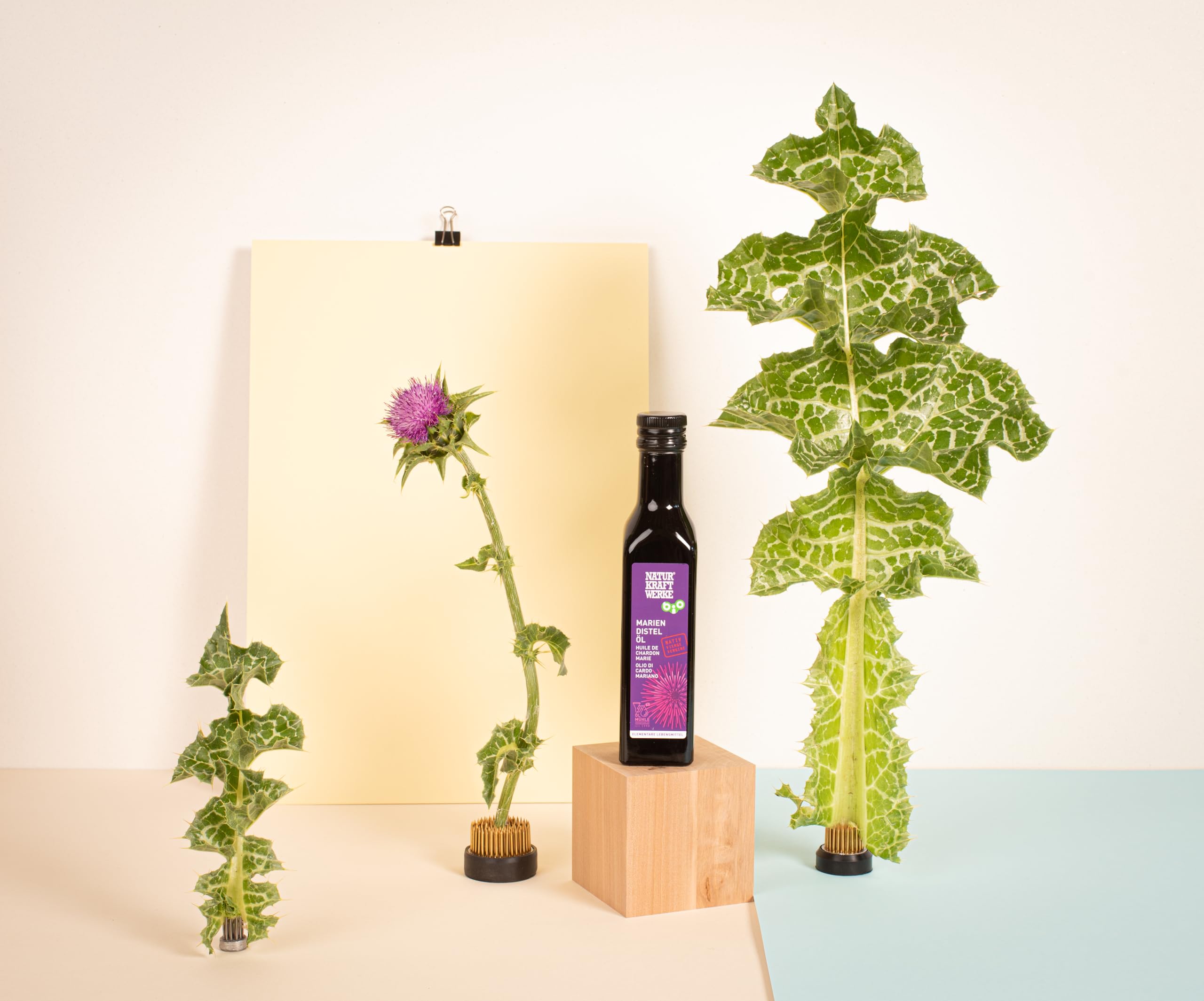 Mariendistelöl Bio 250 ml – nativ & kaltgepresst – aus frischer Pressung in der Ölmühle Zürcher Oberland – im Violettglas – mild & nussig
