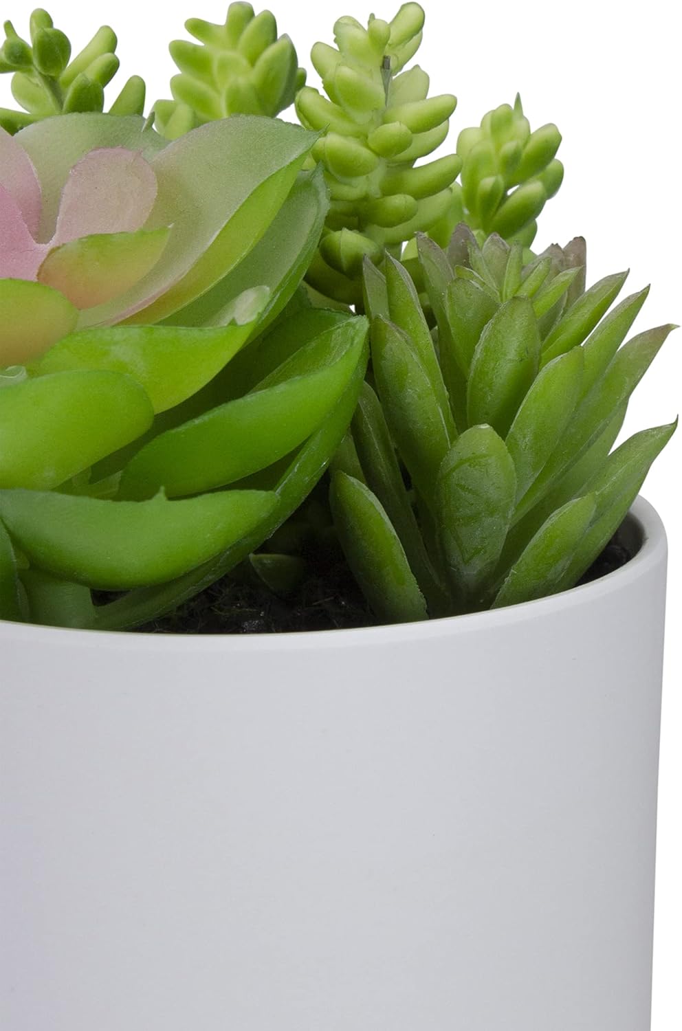 Northlight 5.5" Mixed Artificial Succulent Arrangement in a White Pot