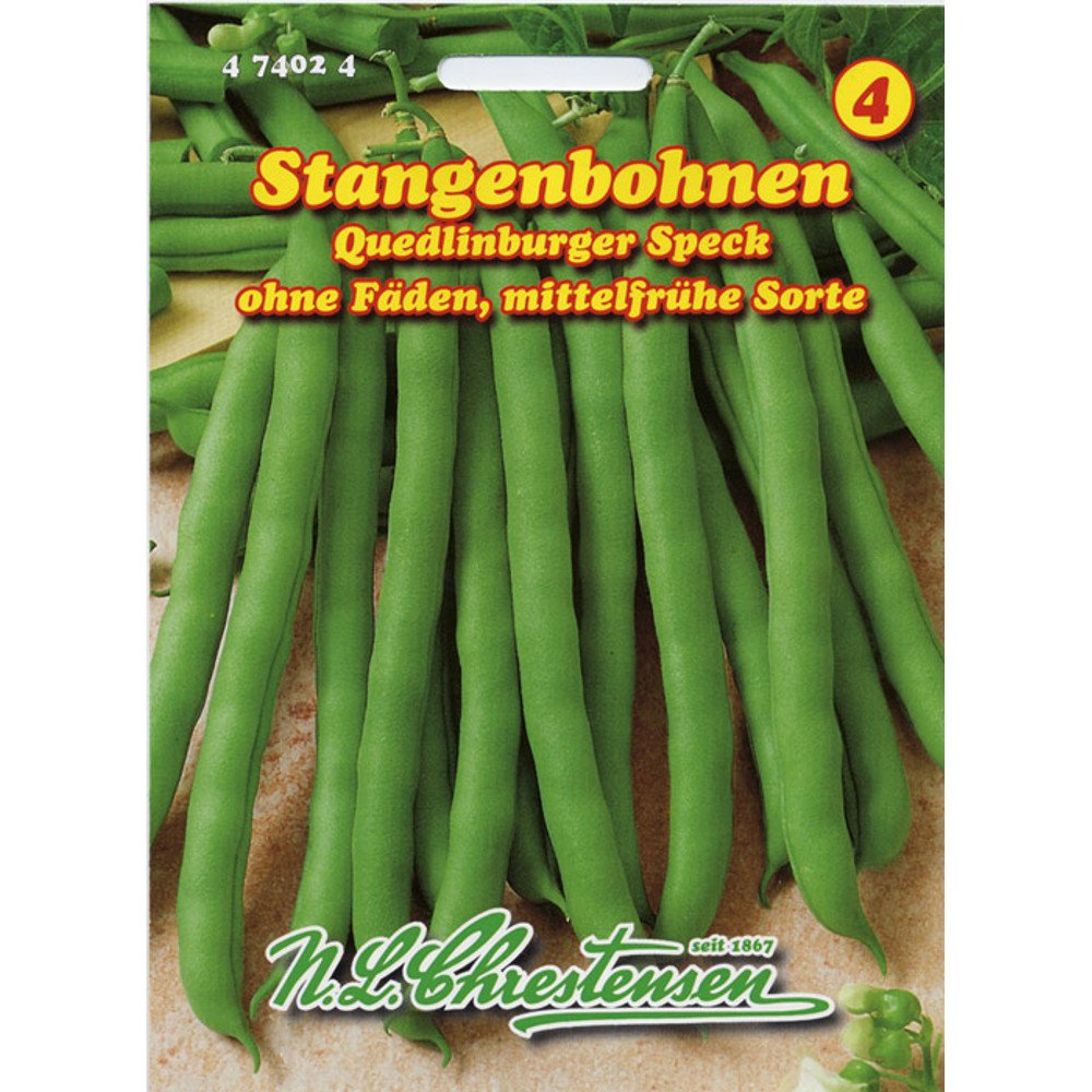 Stangenbohnen 'Quedlinburger Speck' mittelfrüh, grün, ohne Fäden