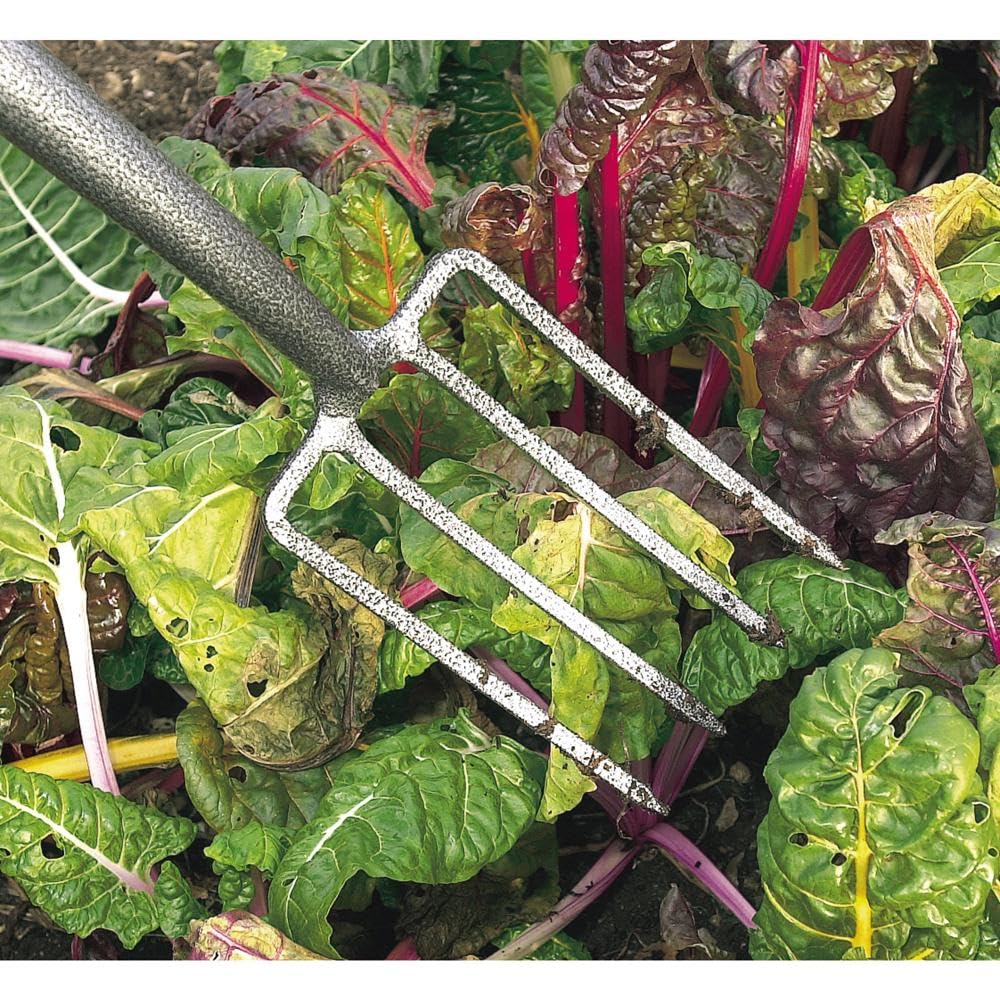 Draper Fourche de Bordure de Jardin en Acier Carbone – 88791 – Outil de Jardinage léger et Robuste