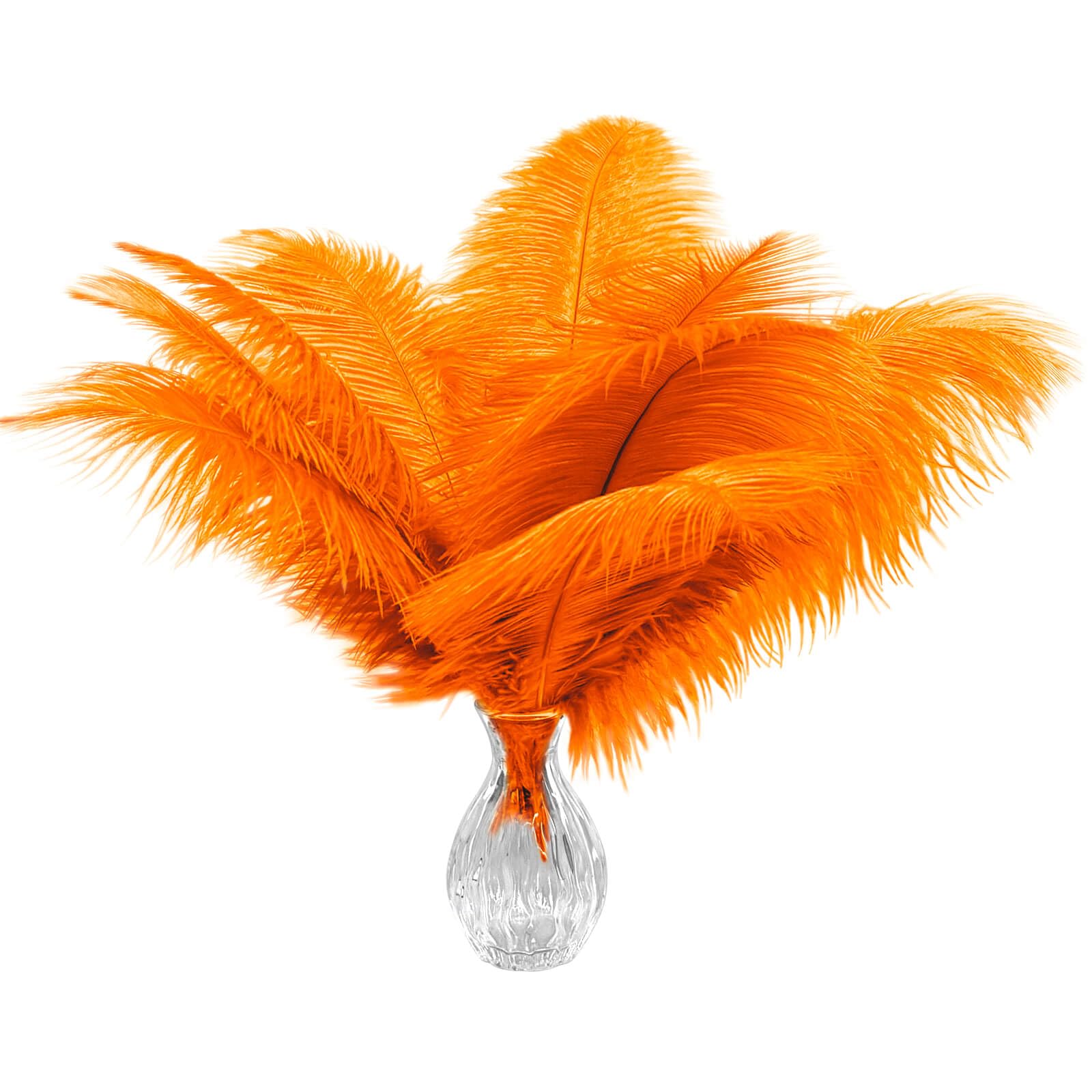 Plumes d'autruche orange de 25,4 cm pour personnaliser vos vêtements DIY