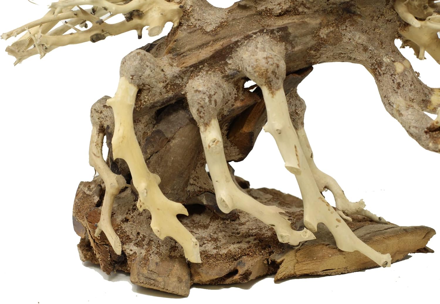 Aquarium Tree AMX (8 Inch Height) Natural, Handcrafted Fish Tank Decoration | Easy to Install