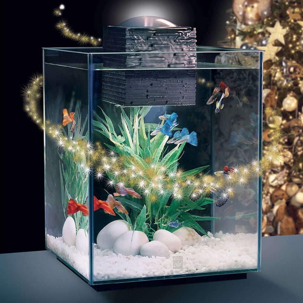 Fluval Chi II 10505 Aquarium-Set, 1,5 l, Weiß