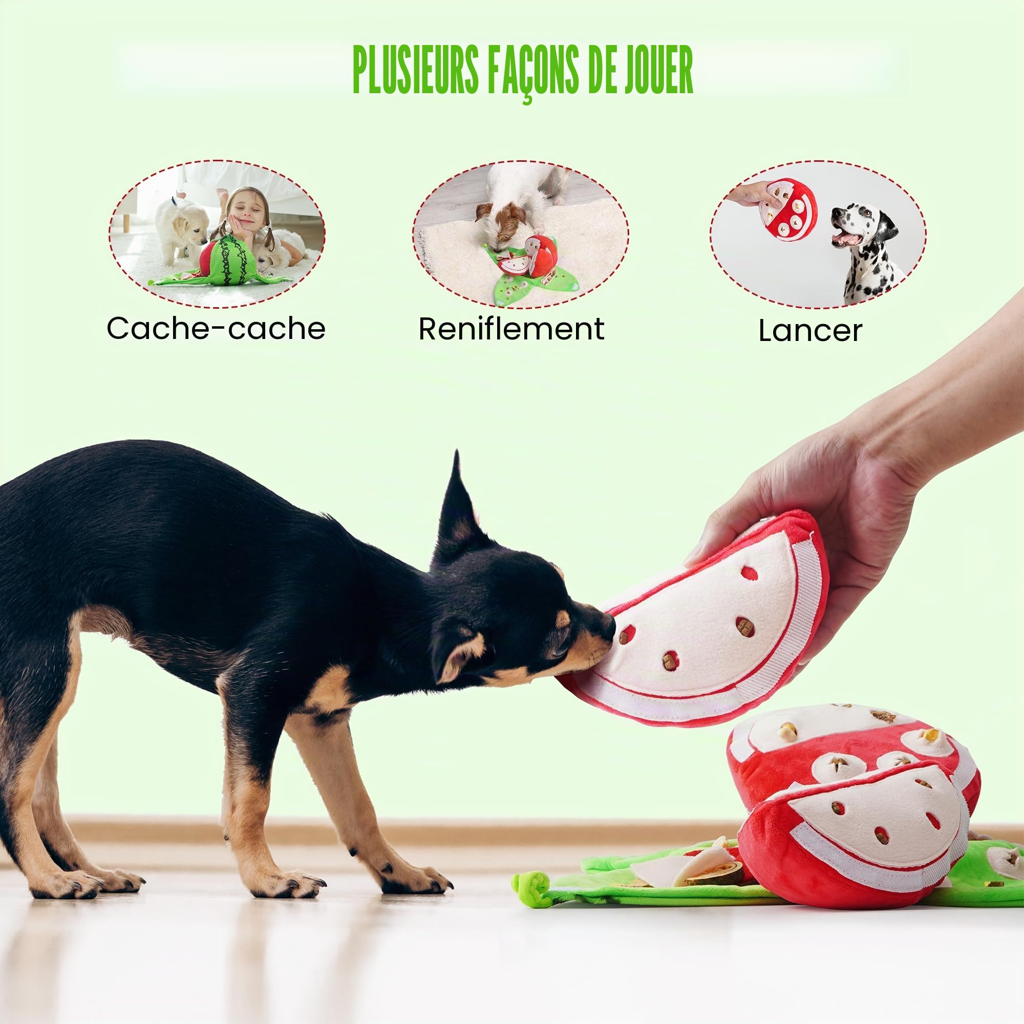 Nocciola 5 en 1 Jouet Intelligence Chien pour Jeu Chien Cache Croquettes | Jouet Chien Occupation Interactif avec Couineur et Papier Froissé, Jeu de Fouille pour Chien et Chiot