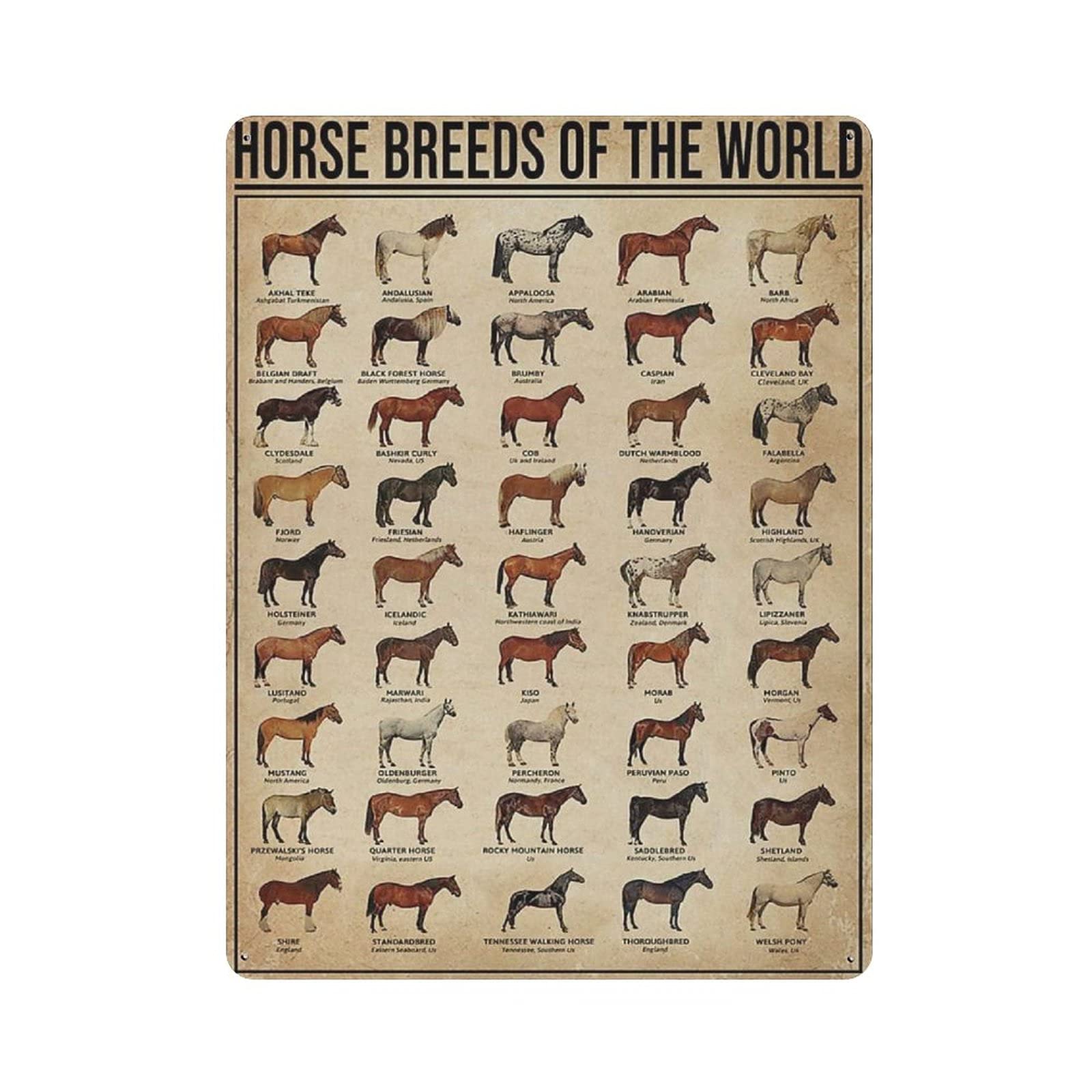 Metal Tin Sign Horse Breeds of The World Knowledge Vintage Tin Poster Metal Sign Wall Decoration Country Kitchen Home Garage Decor 16"x12"