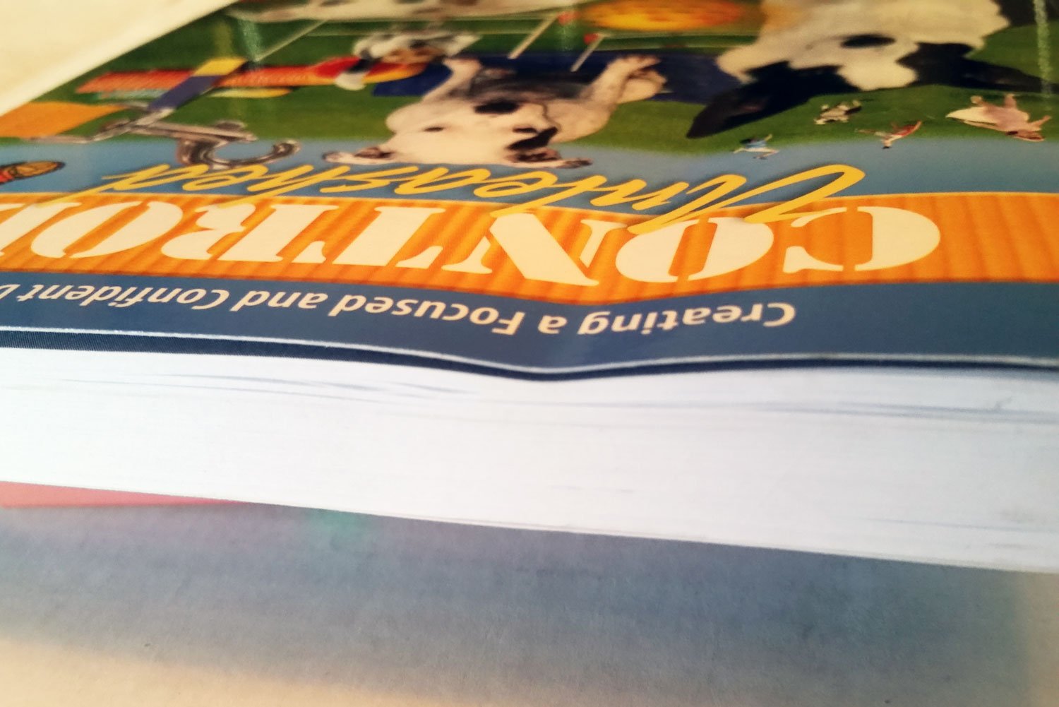 Control Unleashed: Creating a Focused and Confident Dog      Paperback – January 1, 2007