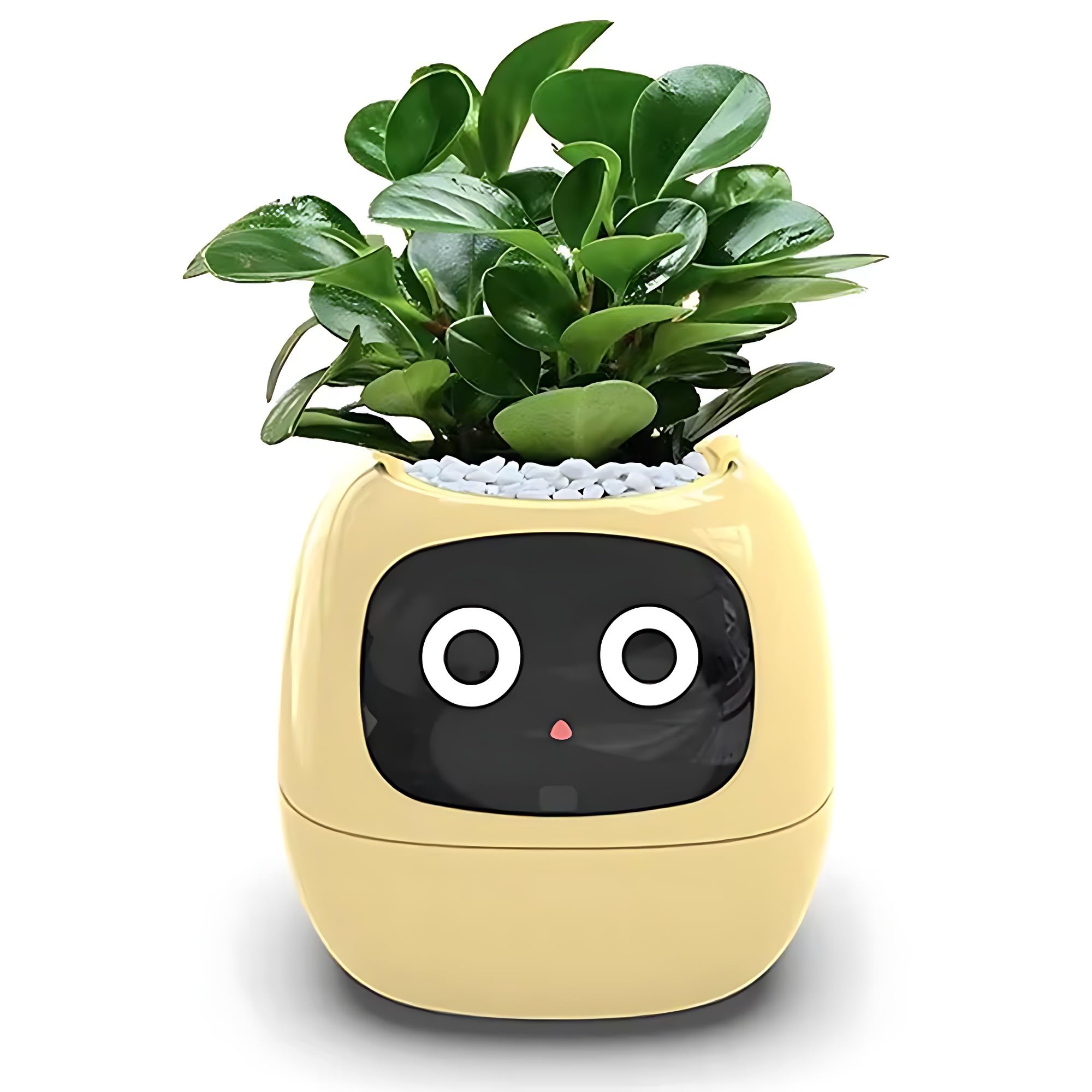 Smart Pet Planter - Vaso da fiori intelligente con 7 sensori intelligenti e chip AI per una facile cura delle piante in soggiorno - Soluzione divertente e interattiva per giardinaggio indoor