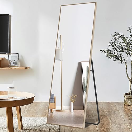 MAYEERTY Espejo de longitud completa de 65 x 22 pulgadas, de pie, colgado o apoyado contra la pared, espejo de tocador montado en la pared, marco