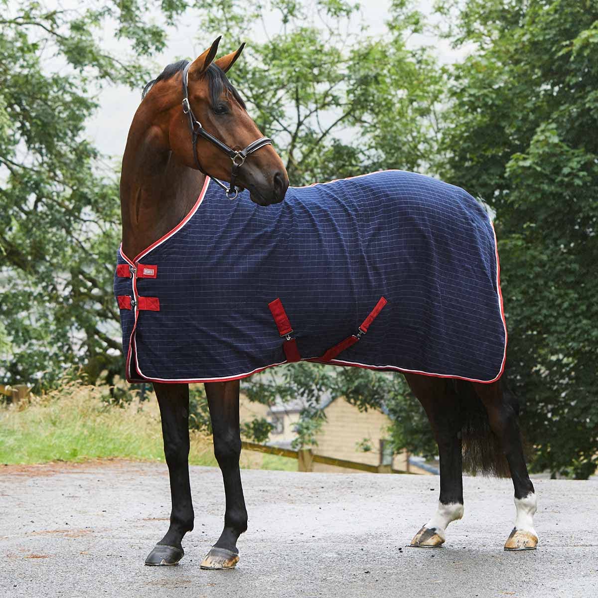 Masta Horse Lightweight Summer Sheet 6FT | Breathable Travel Equestrian Stable Rug Anti-Rub