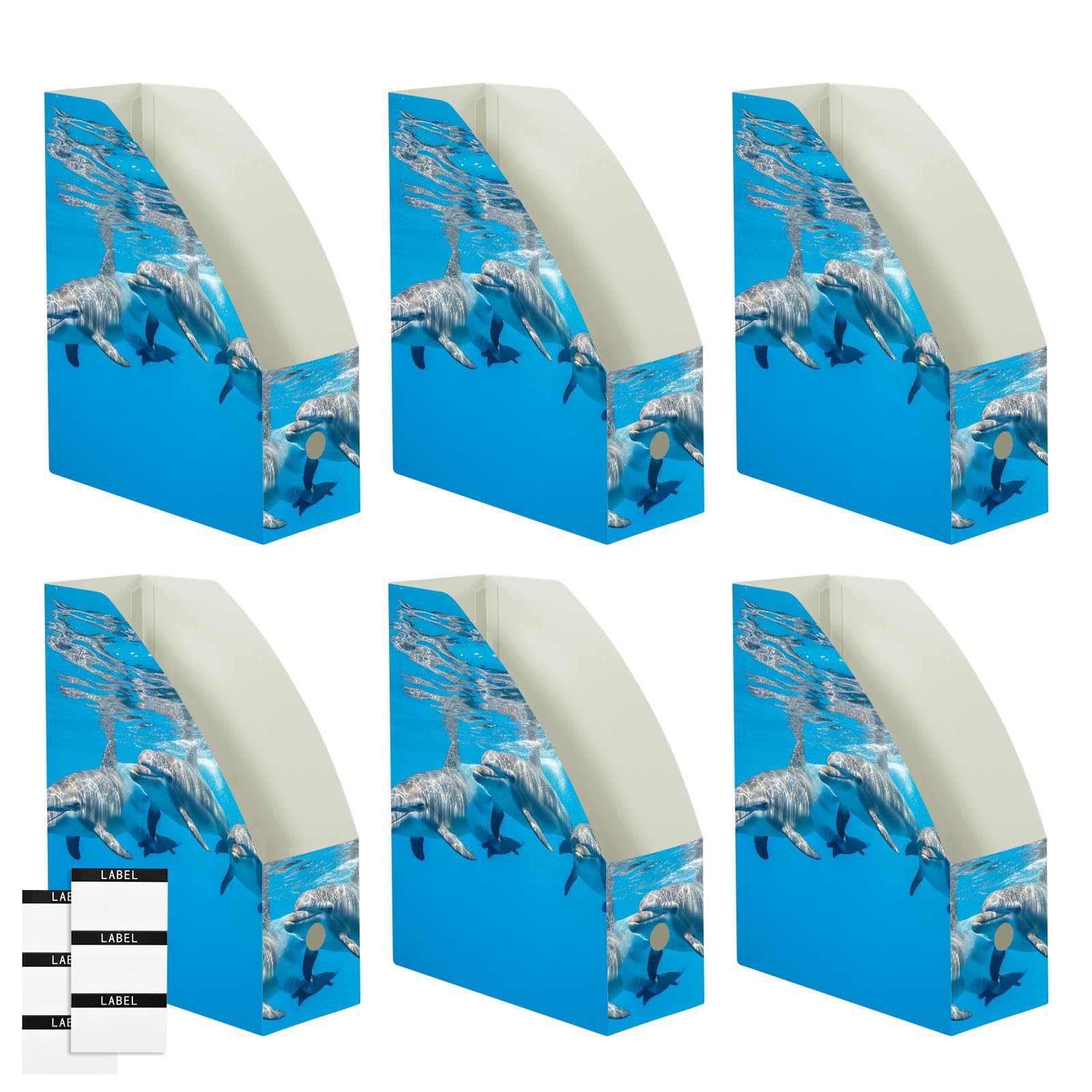Liscio PP Cartoon Delfino Blu Portariviste File