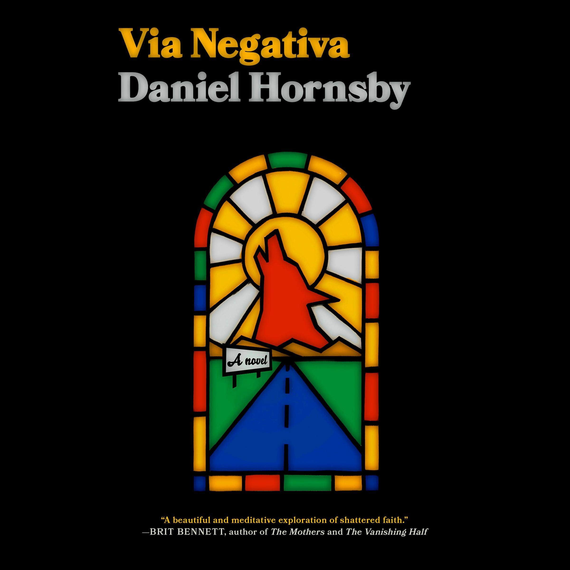 Cover art for Via Negativa