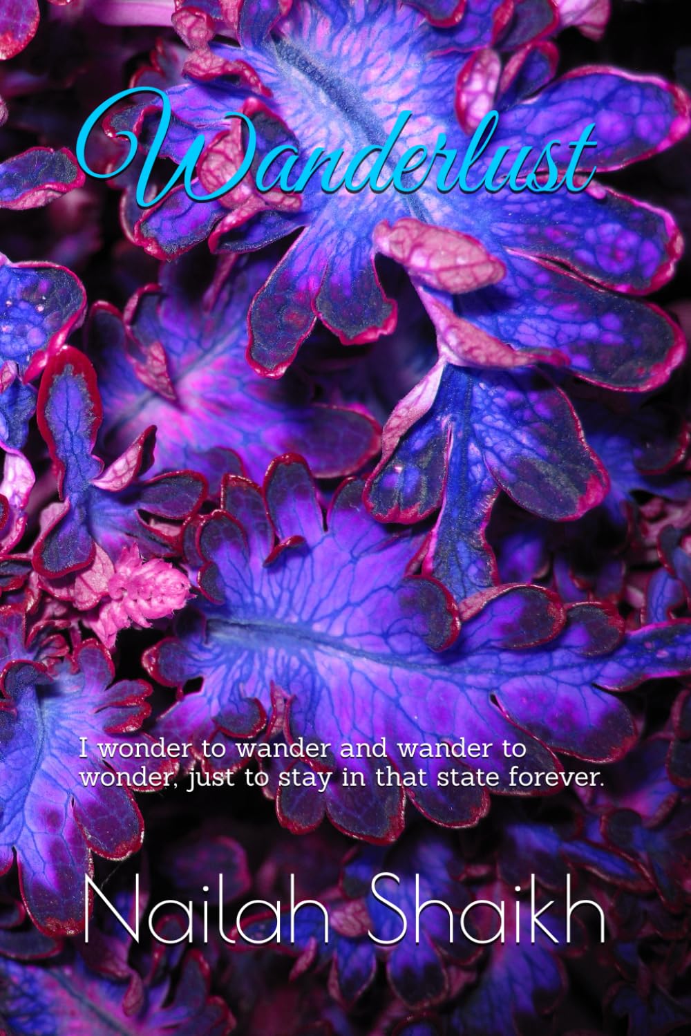 Wanderlust.: In order to wonder, you have to wander.