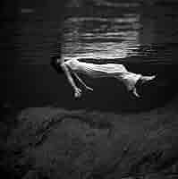 Amazon.co.jp: Toni Frissell:Weeki Wachee Spring、フロリダ州