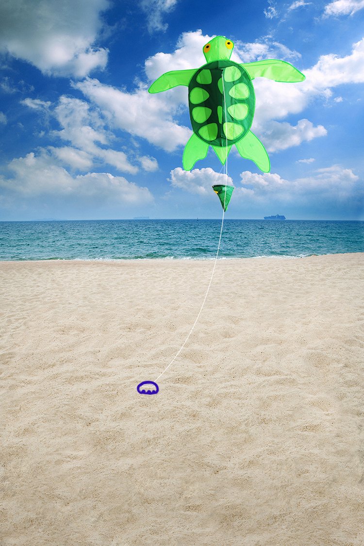 Huge 3D Sea Turtle Kite for Kids & Adults, Easy Flying Single Line Kite for Outdoor Games and Sports Includes Kite Line and Bag