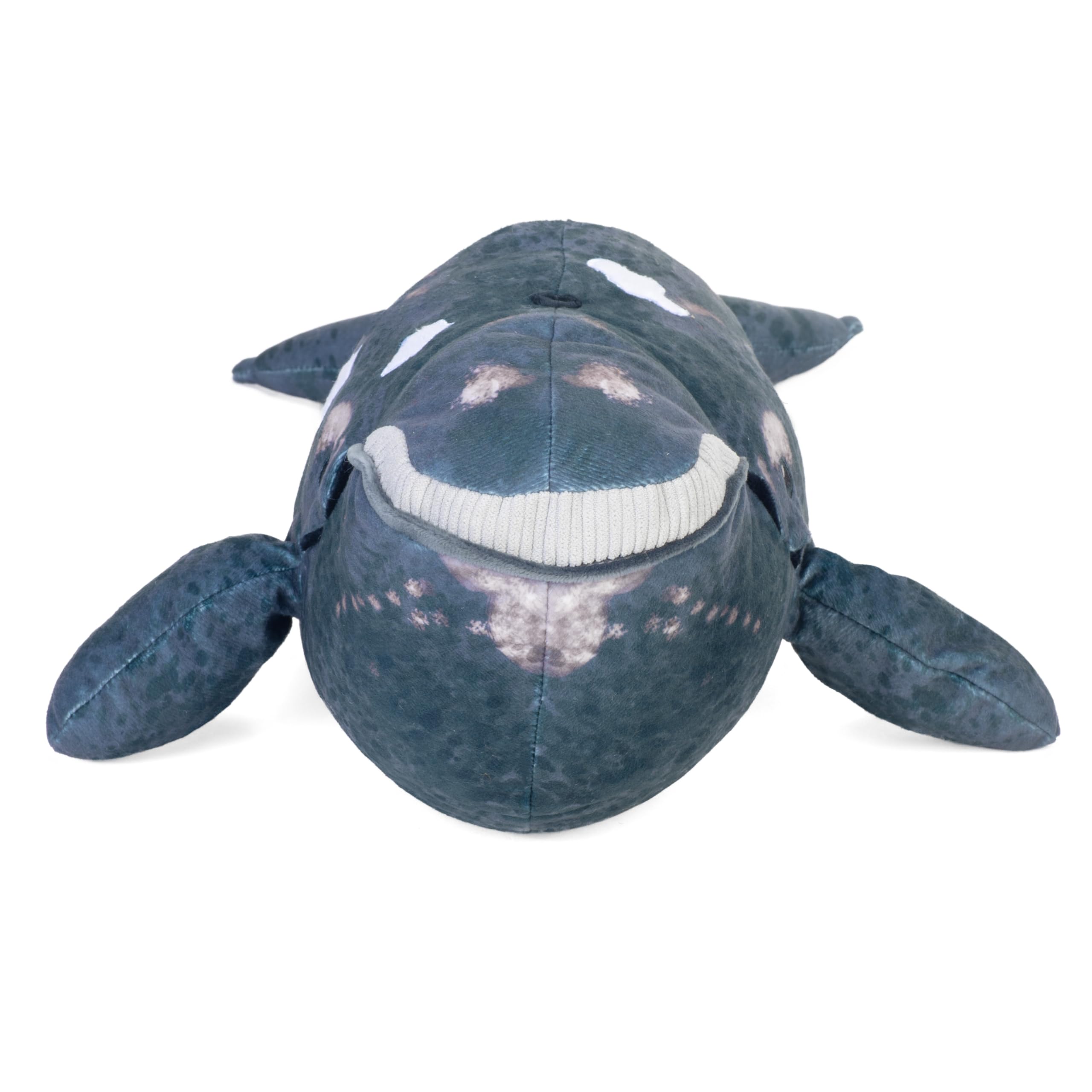 Amazon.com: Wild Republic Cuddlekins Eco Northern Right Whale