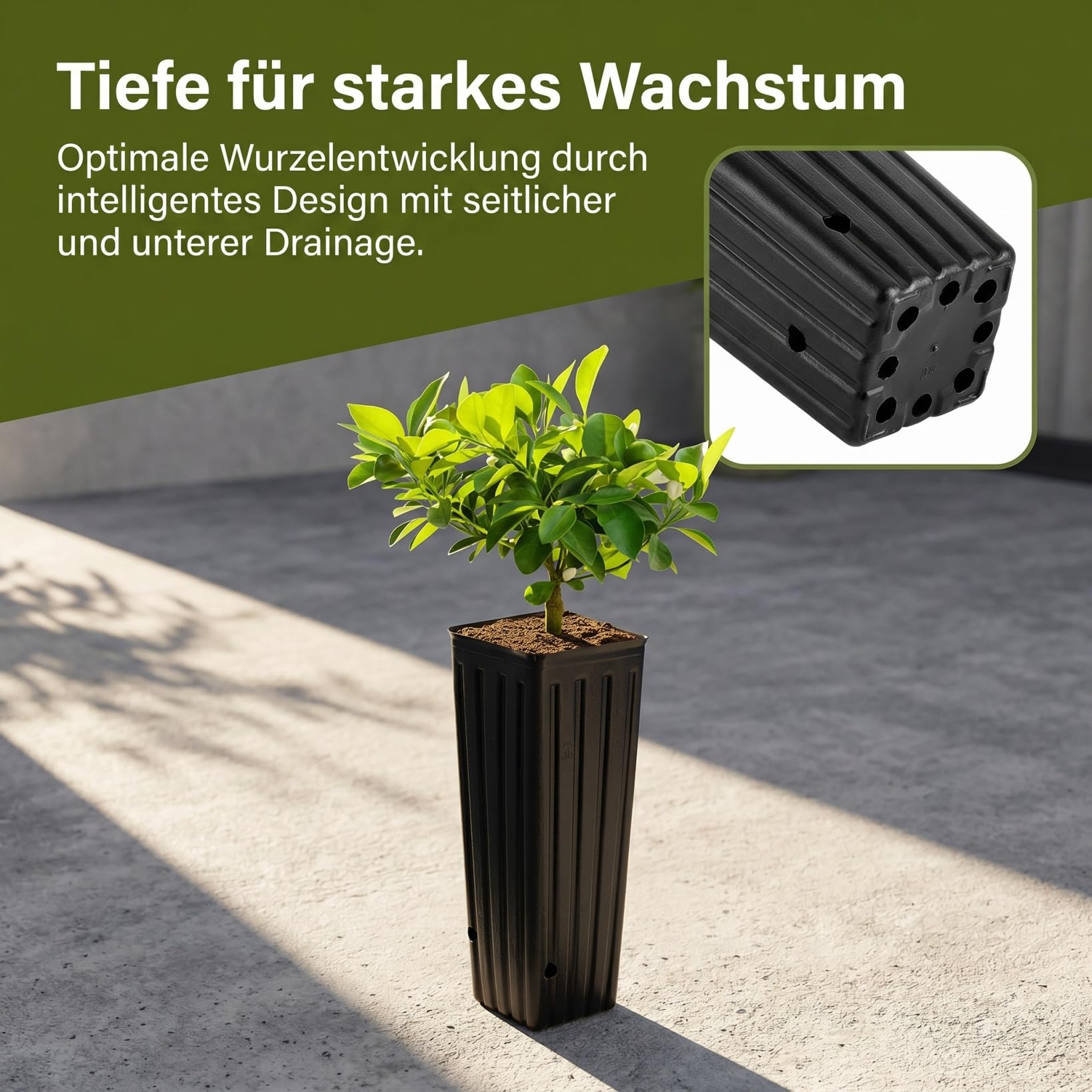 BESPORTBLE Lot de 50 Pots de Fleurs en Plastique Profonds, de 30,5 cm, Noirs, avec Trous de Drainage, pour Le Jardinage, 3 x 11 cm (l x H)