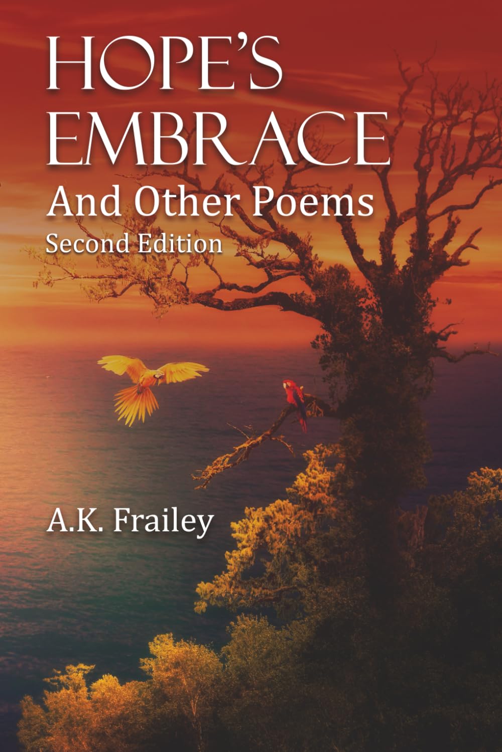 Hope's Embrace And Other Poems: 2nd Edition