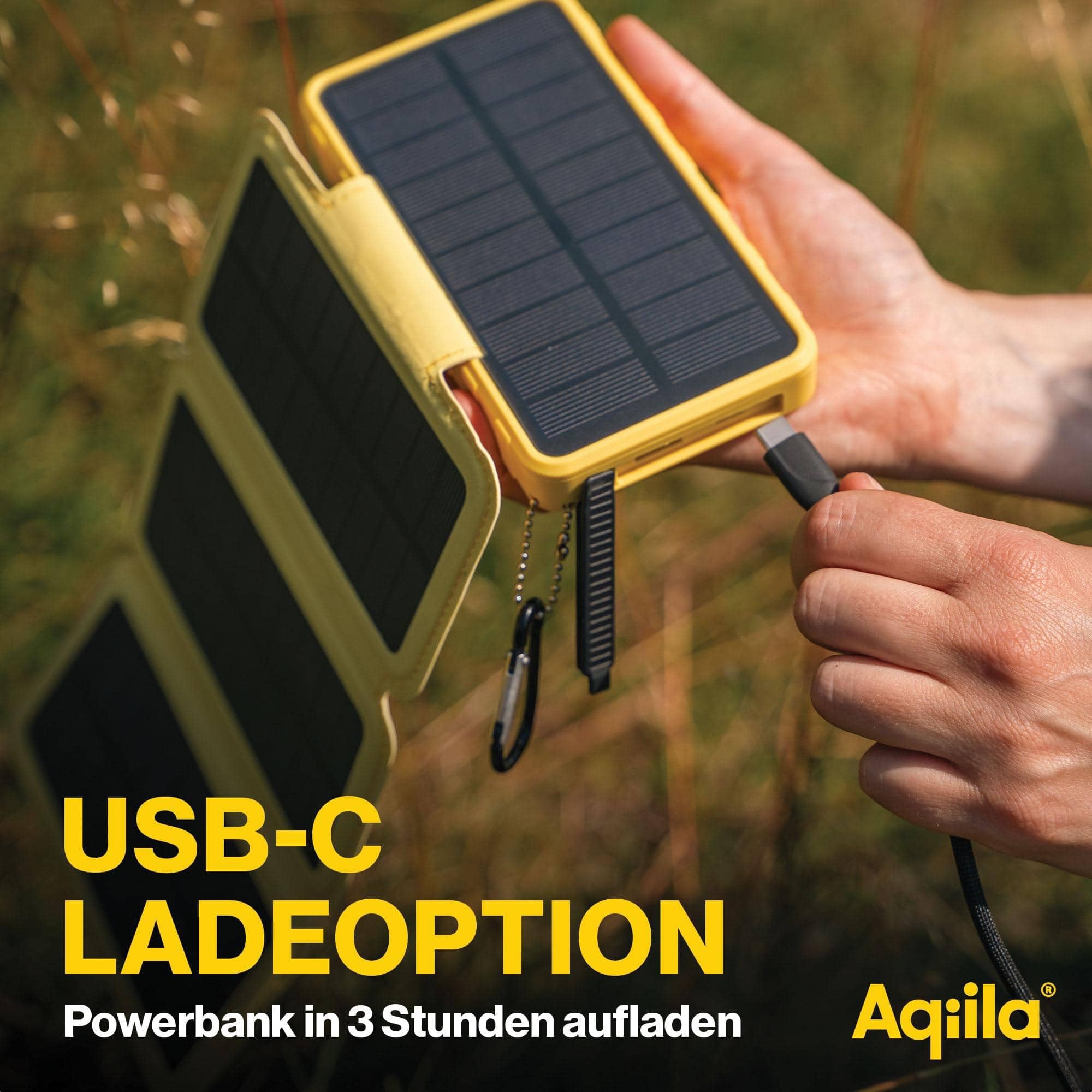 Powerbird BS10 AQPBPBIBS1SG973 - Batería externa solar (6 W, 10000 mAh)