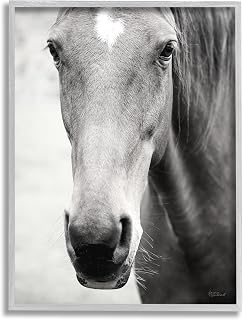 Stupell Industries Moke Lake Horse Photography Gray Framed Giclee Art Design by Laura Marshall