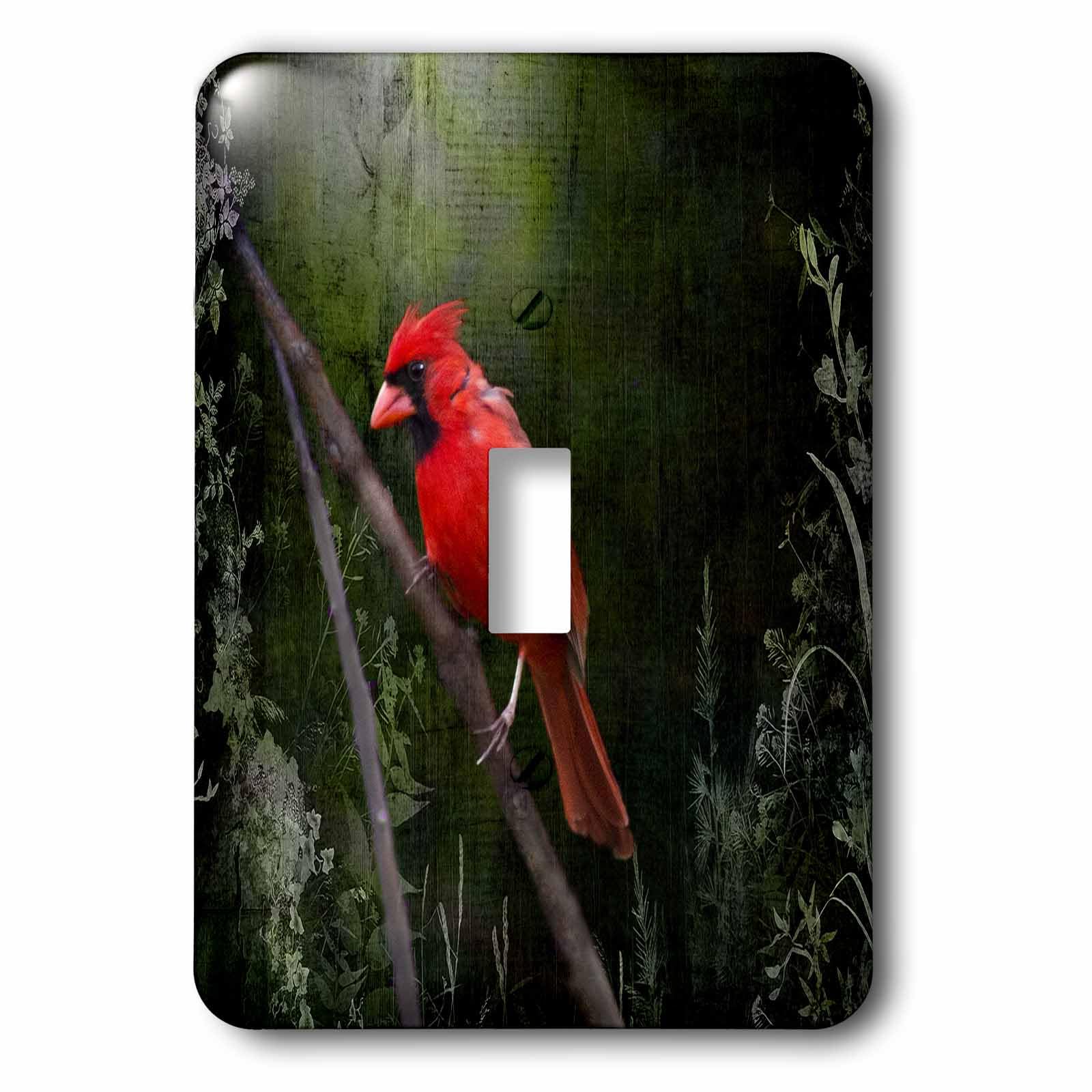 Interrupteur à baïonnette de style oiseau sauvage 3dRose LSP_48670_1 pour rénovation intérieure