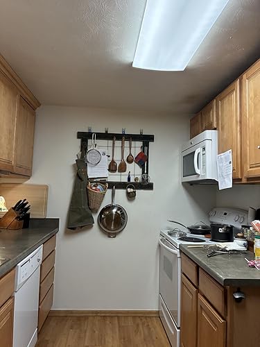 Review Image by Silverback