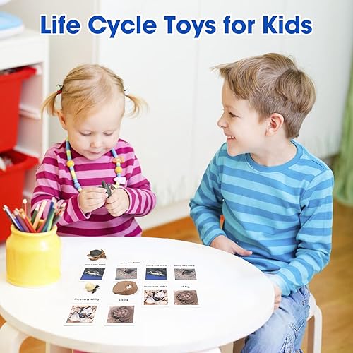 Miniatura 5 de MEROCO Ciclo de vida de tortugas para niños, tarjetas flash de animales con figuras para niños pequeños, juguetes de ciencia para niños de 3 a 5