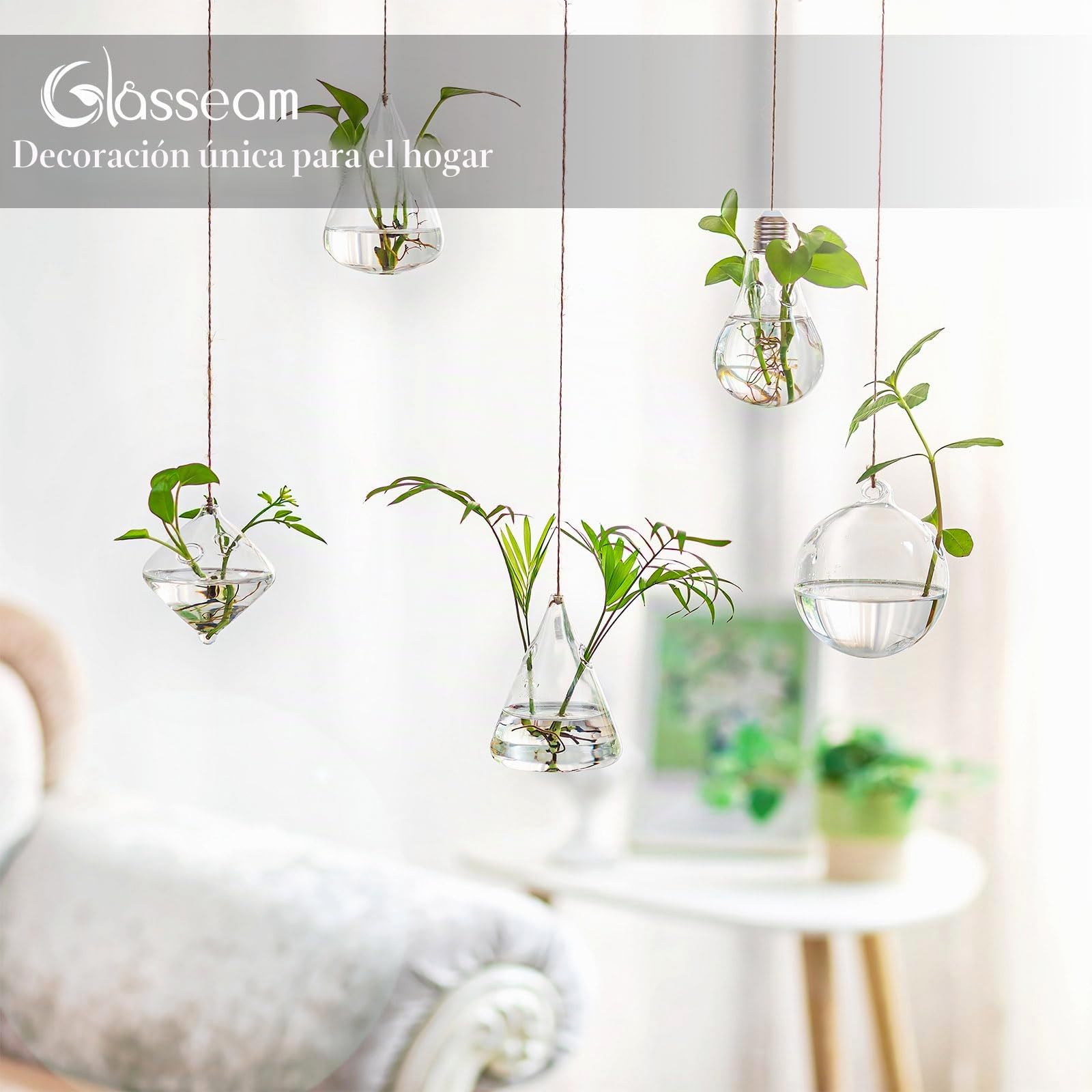 Vidrio Jardineras colgantes Agua Planta de aire suculentos Terrario 5Pcs Set con cuerdas para el jardín del hogar Balcón
