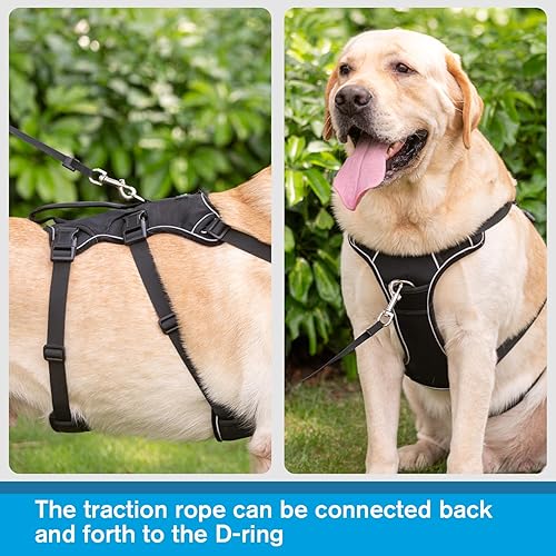 Miniatura 8 de COODEO Arnés para perro con asa, arnés ajustable de 5 puntos a prueba de escape, arnés de soporte multiuso, arnés de elevación para perro, cómodo