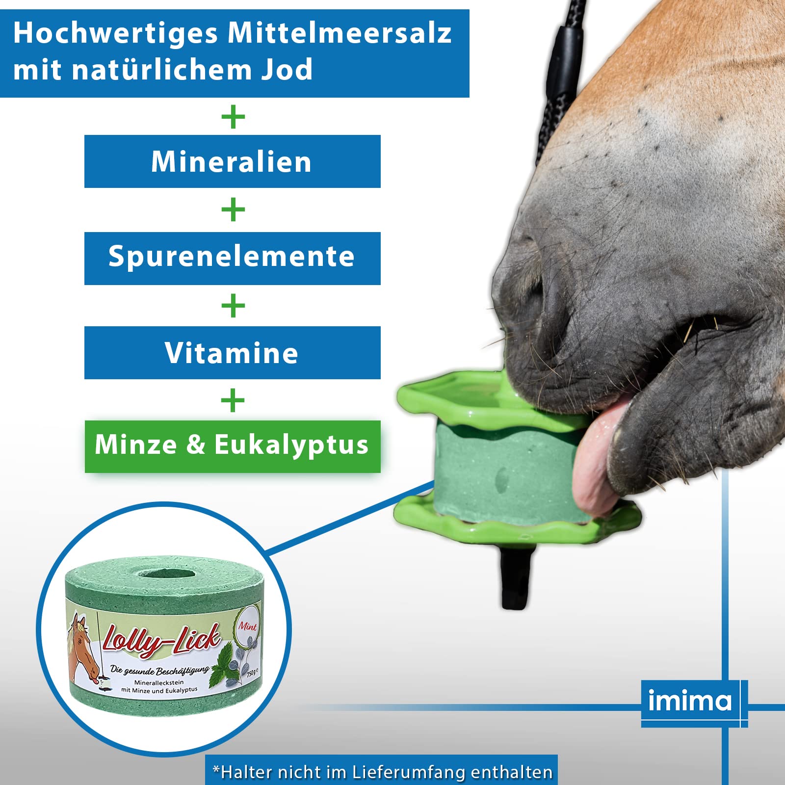 Lolly-Lick Bronchial 750g