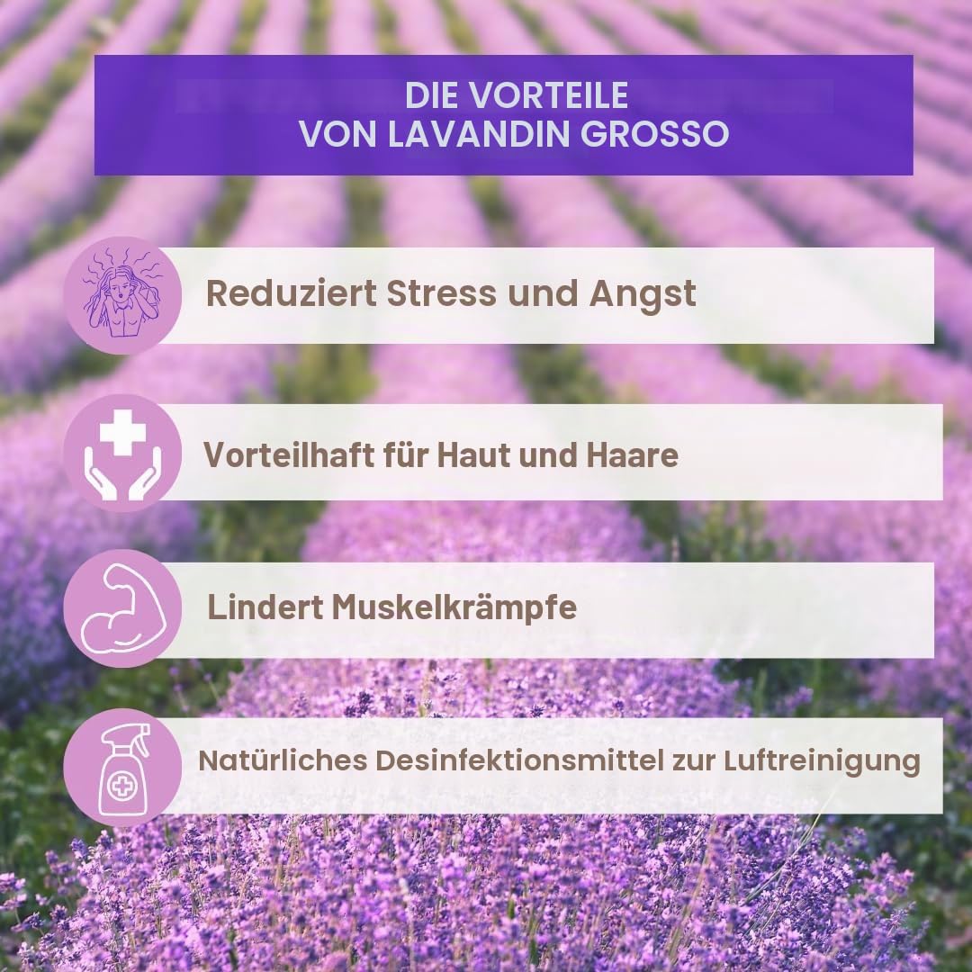 Ätherisches Öl Lavendel Grosso 1 Bett – Direct Produzent Frankreich Lustig Provenzale – 100 % rein & natürlich – Diffusor, Aromatherapie, Entspannung, Schlaf, Wohlbefinden –