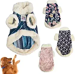 Roupa Pet Inverno Confortável Roupinha Cachorro Antialérgica com Elástico na Gola (6, Fêmea)