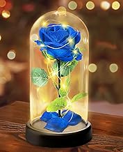 Cadeaux de Fête des Mères pour Femmes - Rose Eternelle sous Cloche Cadeau Femme - 1 Rose de Soie Bleu, Rose Dôme en Verre Fleur Artificielle avec LED Lumières, Cadeau pour Petite Amie,Femme,Maman
