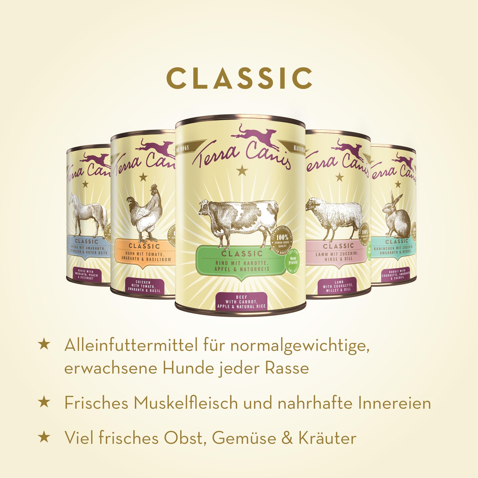 Terra Canis Rind, Karotte & Naturreis - Classic Nassfutter, 6x400g I Premium Hundefutter in 100% Lebensmittelqualität Aller Rohstoffe I Reichhaltig & gesund, allergen- & getreidearm, glutenfrei
