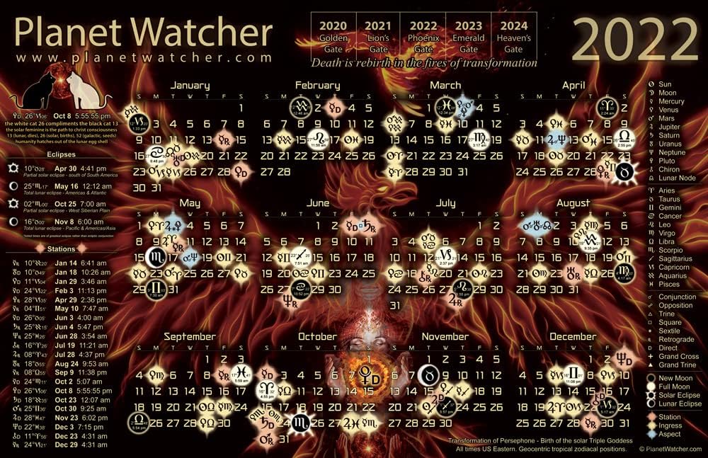 PlanetWatcher 2013 Astrological Calendar Poster (2 Pack)
