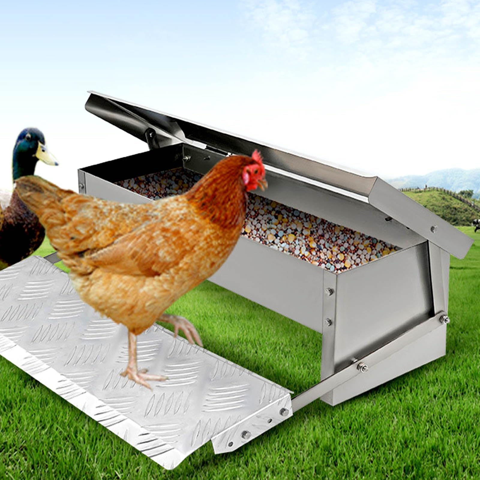 Comedero Gallinas Antipajaros Comederos AutomáTicos de Pollos Acero Inoxidable Comedero con Pedal AutomáTico Comida para Pollos para Aves de Corral Adecuado para Pollos Patos Y Gansos