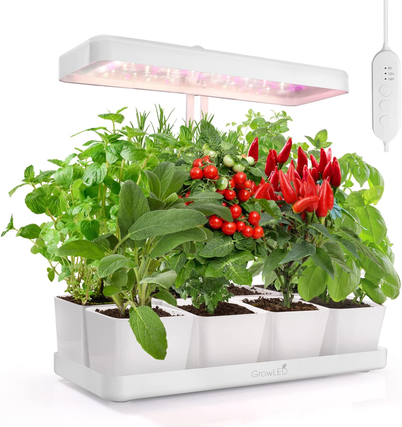 GrowLED 20W Full Spectrum LED Grow Light, Auto Timer, Suitable for 8 Pots, Easy Installation, EU Reach Certified Safe Material