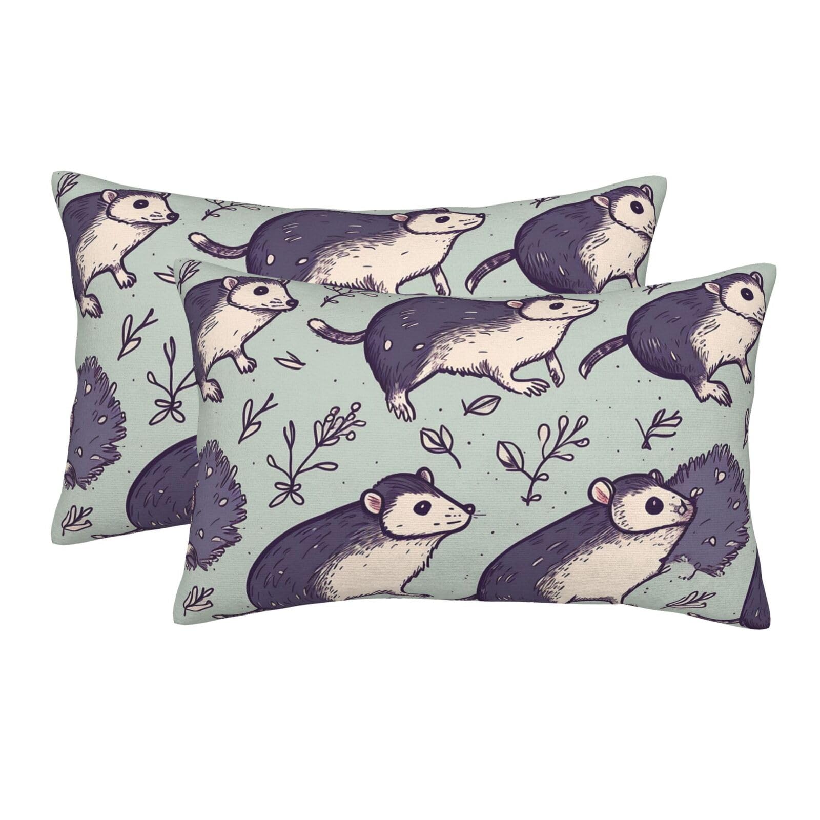 2 Pack Pillow Cases with Hidden Zipper, Soft Breathable Pillow Covers for Hair and Skin, Opossum Pillowcases 20"x30" Bed Pillow Protectors Cover for Sleeping Gifts