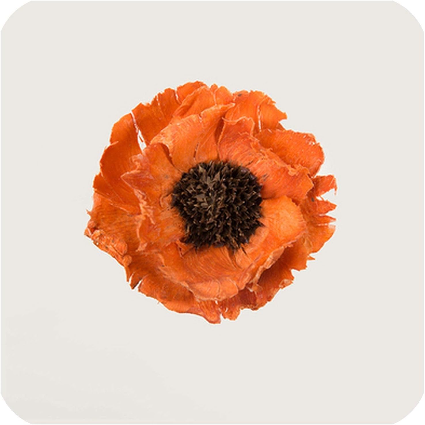 First Ring Flower 3個 ロット ハンドメイド ドライフラワー コーンポピースライス 色あせ防止 装飾ディスプレイフラワー 超安い 天然植物 美しいリビングルーム オレンジ