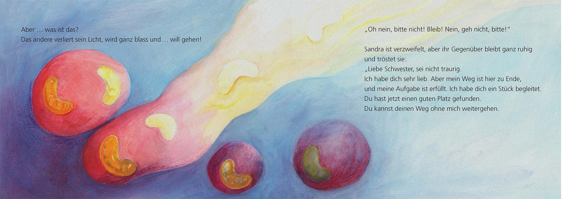 Am Anfang waren wir zu zweit. Ein Buch für verlassene Zwillingskinder. Mit einem Vorwort von Irene Behrmann und einem Begleittext von Ilka-Maria Thurmann