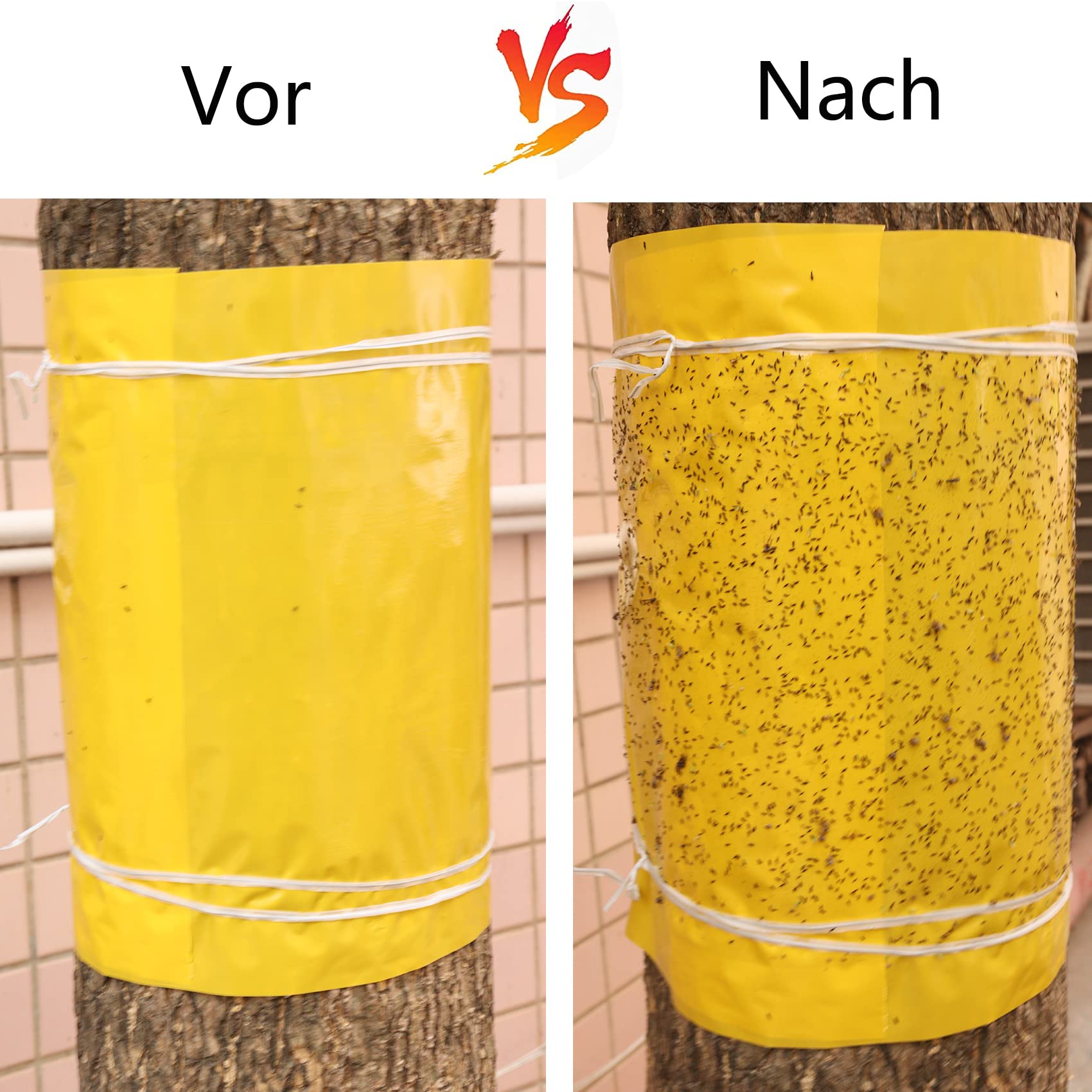 Panngu Anneau de Colle Auto - adhésif pour Arbres fruitiers 25cmx3 mètres, Anneau de Colle de Prunier de Fourmi de Chenille pour Arbres de Protection, Arbres fruitiers, Arbres cerisiers