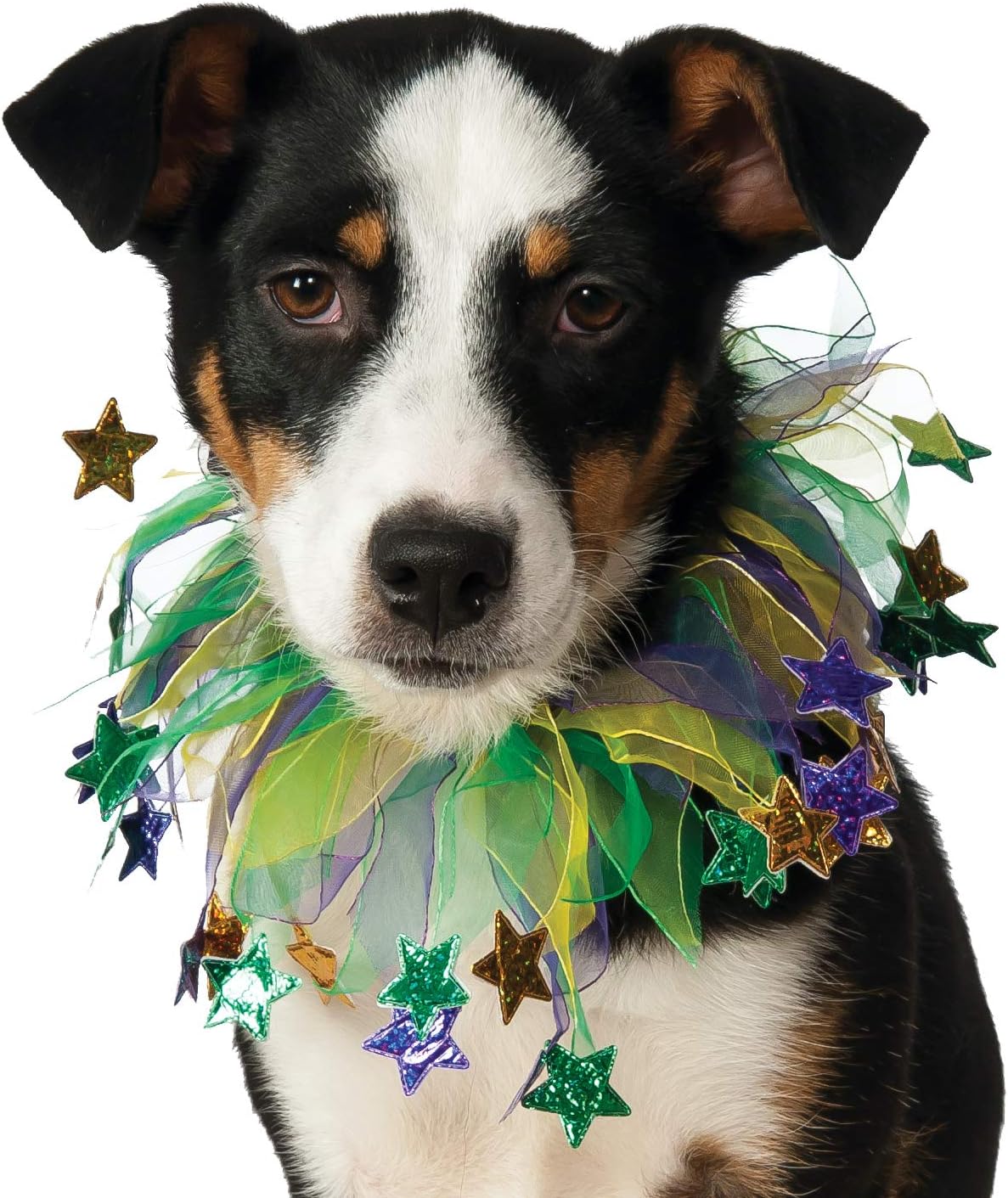 Rubie's Fancy Mardi Gras Stars Pet Collar, Medium/Large