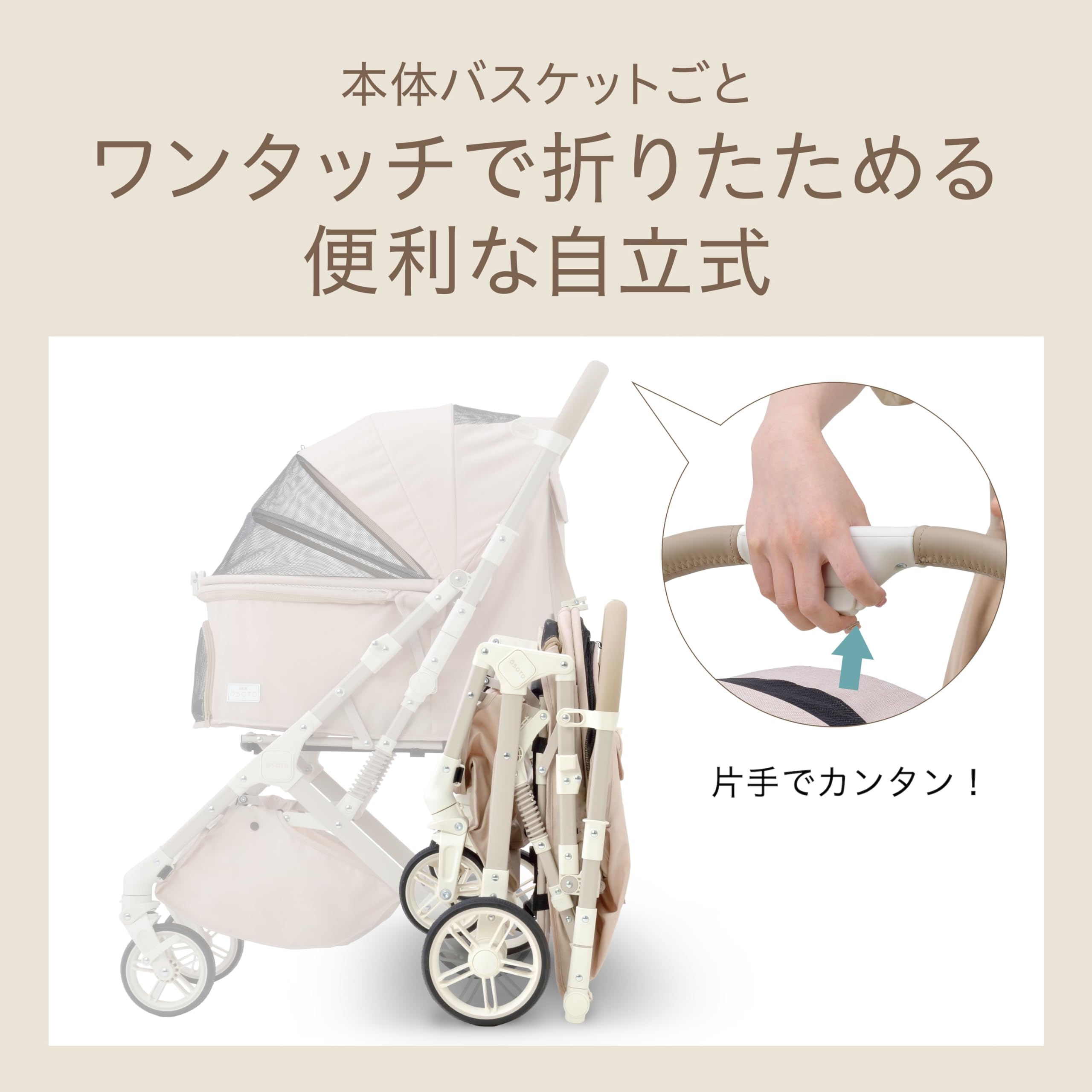 Amazon.co.jp: ジェックス OSOTO GRACE QC エクリュ ワンタッチで