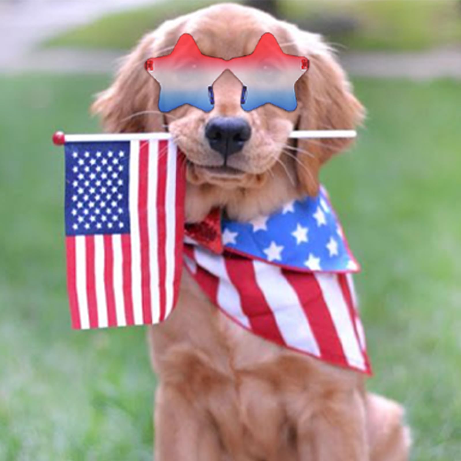 Mysense 4th of July Patriotic Accessories Set with Sunglasses, Jewelry and Glitter